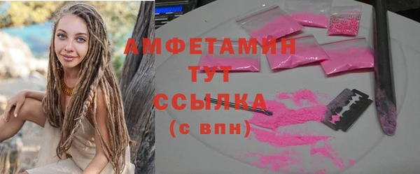 мет Инта