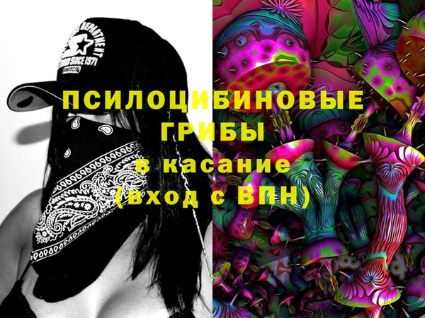 mdpv Каменск-Шахтинский