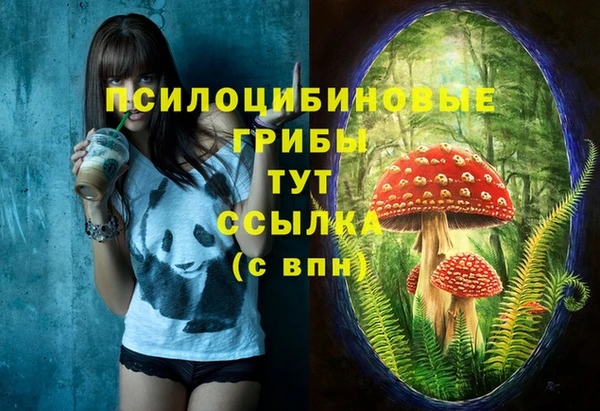 мет Инта