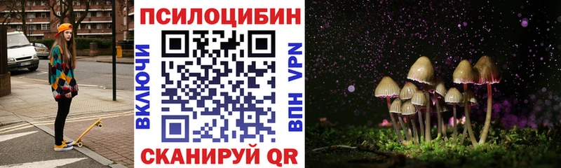 Псилоцибиновые грибы Cubensis  Купить  Трёхгорный 